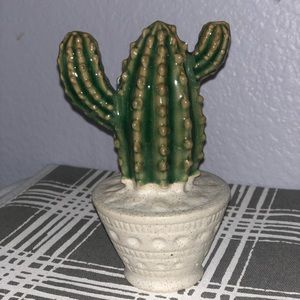 Small Cactus Decor